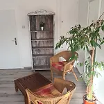 Appel 홈스테이